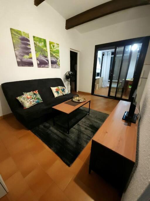 A 8 Mn A Pied Des Plages Appartement Avec Piscine Et Tennis Argelès-sur-Mer Exteriör bild