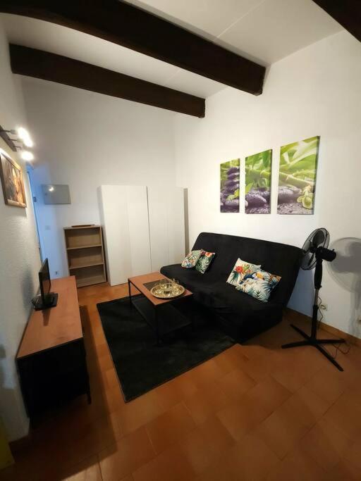 A 8 Mn A Pied Des Plages Appartement Avec Piscine Et Tennis Argelès-sur-Mer Exteriör bild